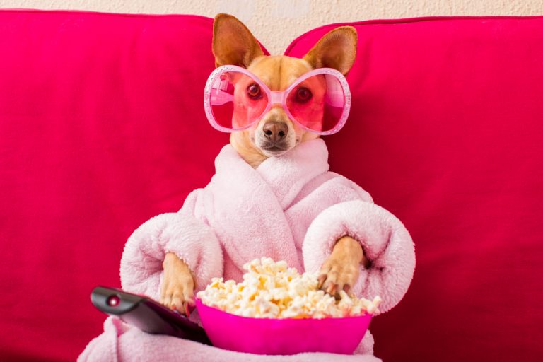 20 Things To Do During The Coronavirus Lockdown