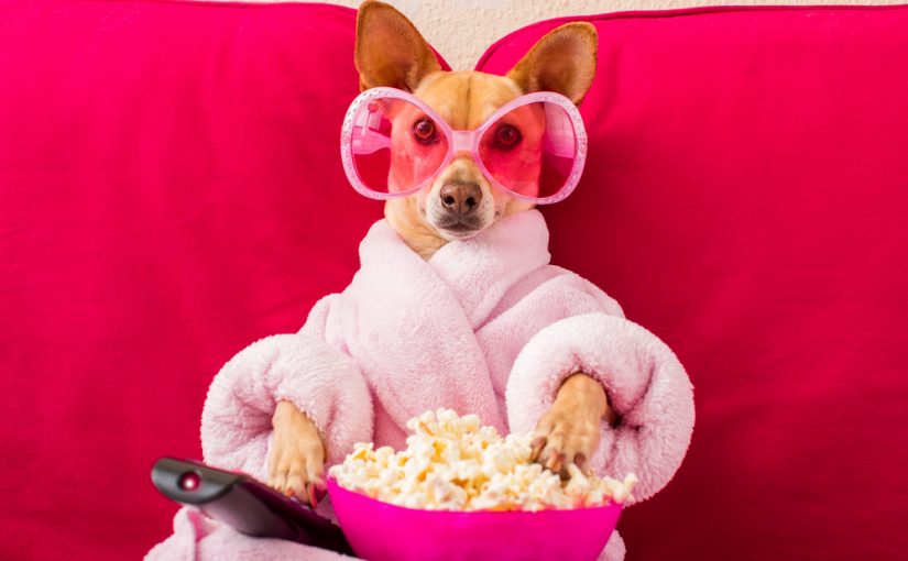 20 Things To Do During The Coronavirus Lockdown