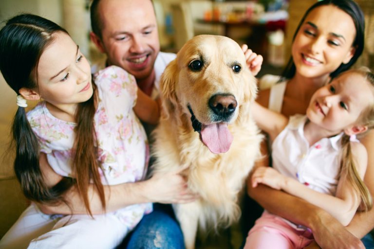 10 Best Family-Friendly Dog Breeds