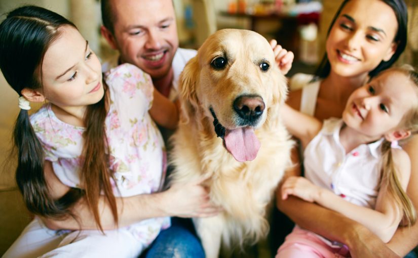 10 Best Family-Friendly Dog Breeds