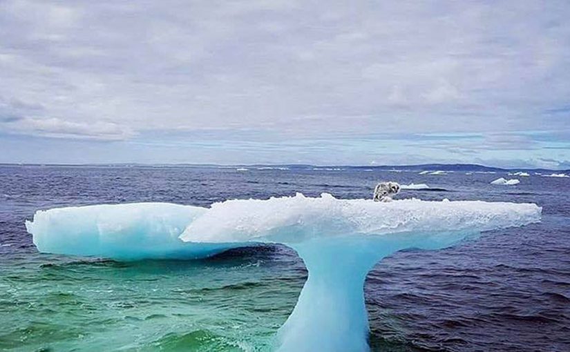 Fishermen Think They See a Seal On Iceberg, But Then Look Closer