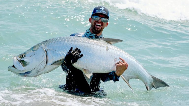 The Surprising Tale of the Biggest Fish Ever Caught
