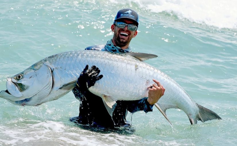 The Surprising Tale of the Biggest Fish Ever Caught
