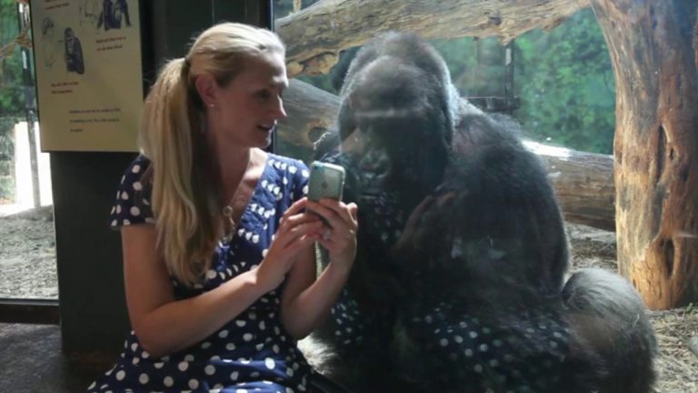 Weirdest Animals Ever Caught On Camera