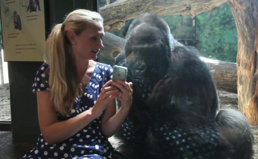 Weirdest Animals Ever Caught On Camera