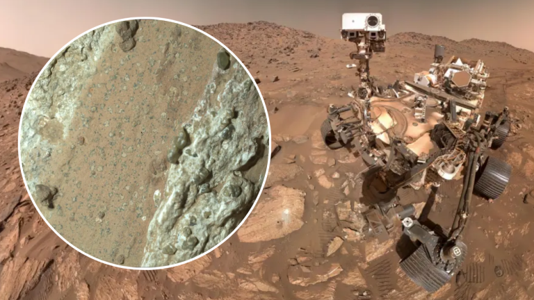 Life On Mars Confirmed By NASA?