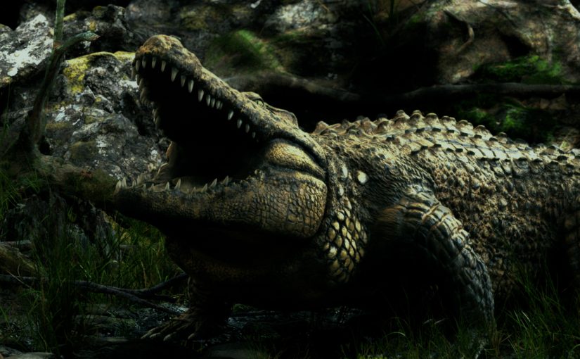 The Tragic Story of the Largest Crocodile In Captivity
